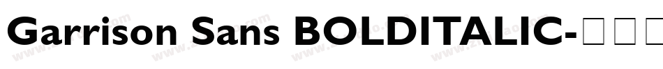 Garrison Sans BOLDITALIC字体转换
